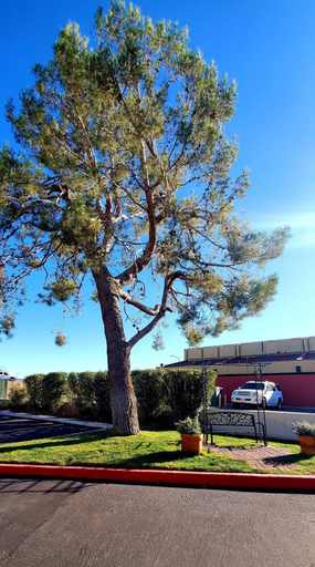 Exterior & Views 2, Motel 6 Palmdale, CA, Los Angeles