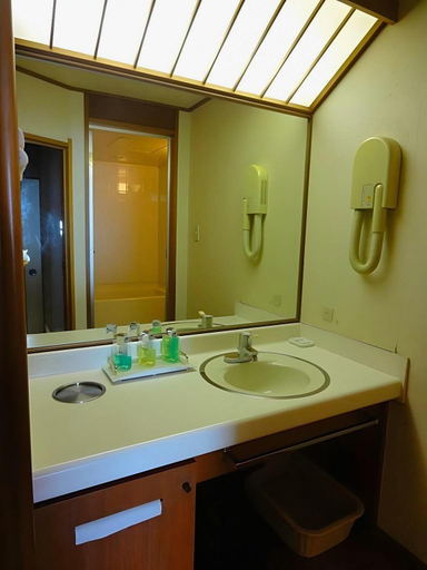 Bathroom 4, Kasuitei, Sakaiminato