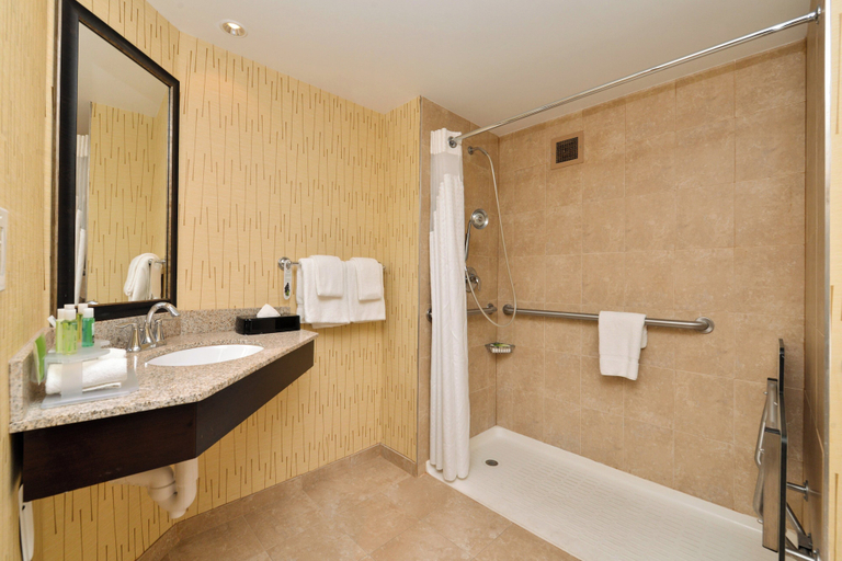 Bathroom 5, Holiday Inn Express HUNT VALLEY by IHG, Baltimore
