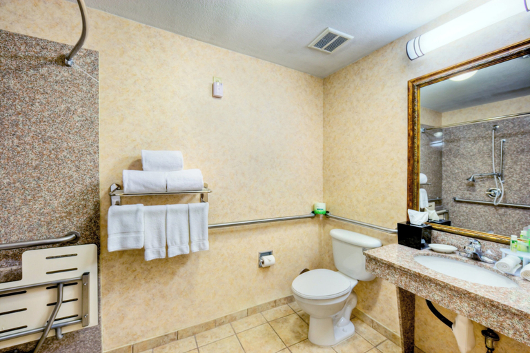 Bathroom 5, Holiday Inn Express & Suites GRANBURY by IHG, Hood