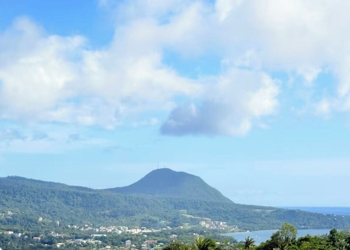 Miscellaneous 3, Tropikal Synergy Mountain View