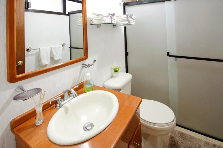 Bathroom 3, Suite GMancera, Mexico City