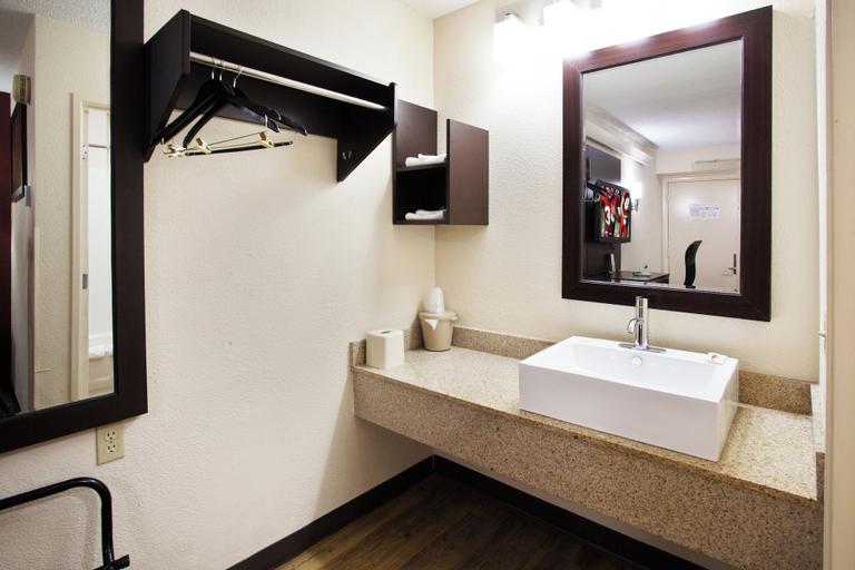 Bathroom 4, Red Roof Inn PLUS+ Nashville South - Fairgrounds, Davidson