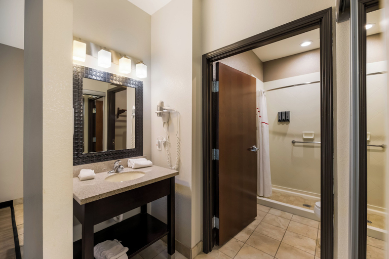 Bathroom 4, Red Roof Inn Pecos, Reeves