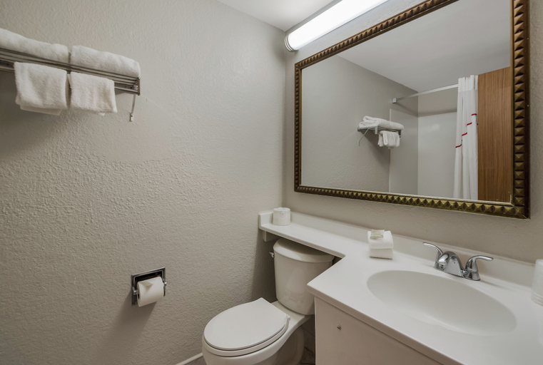 Bathroom 4, Red Roof Inn & Suites Newark - University, New Castle