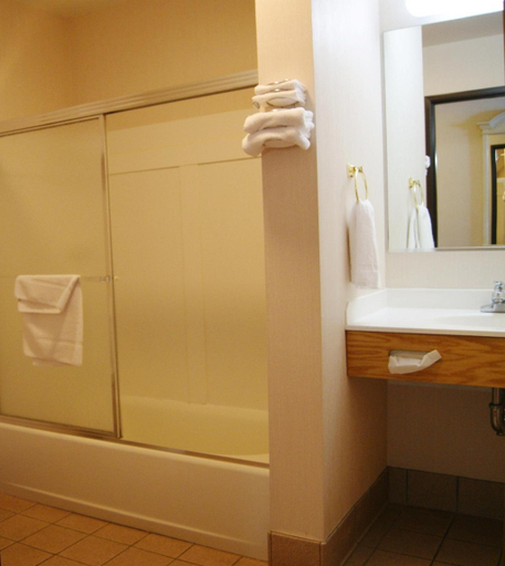Bathroom 3, Meadow Court Inn, Tompkins