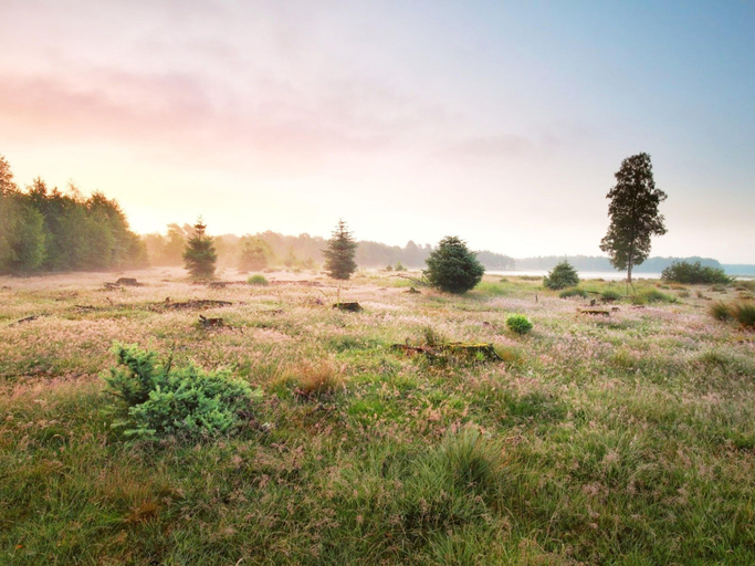 View from property 4, Villa With Private Sauna & Hot Tub, Westerveld
