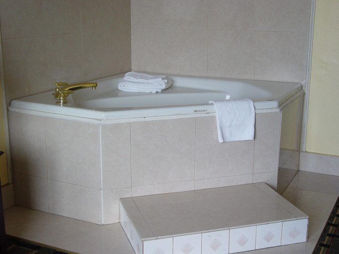 Bathroom 3, Days Hotel by Wyndham Danville Conference Center, Vermilion