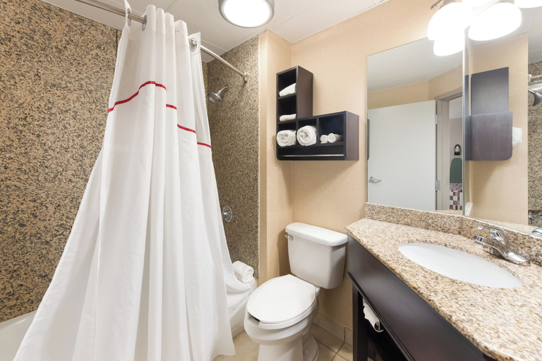 Bathroom 4, Red Roof Inn & Suites Columbus - West Broad, Franklin