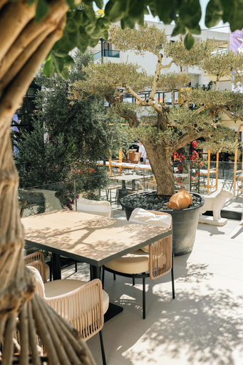 Food & Drinks 4, Hotel Colosseum, Sarandës