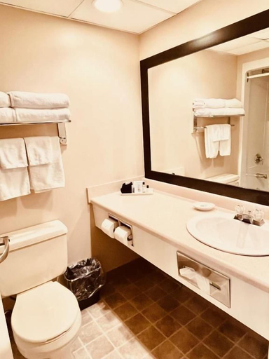 Bathroom 5, Royal Hotel, Division No. 10