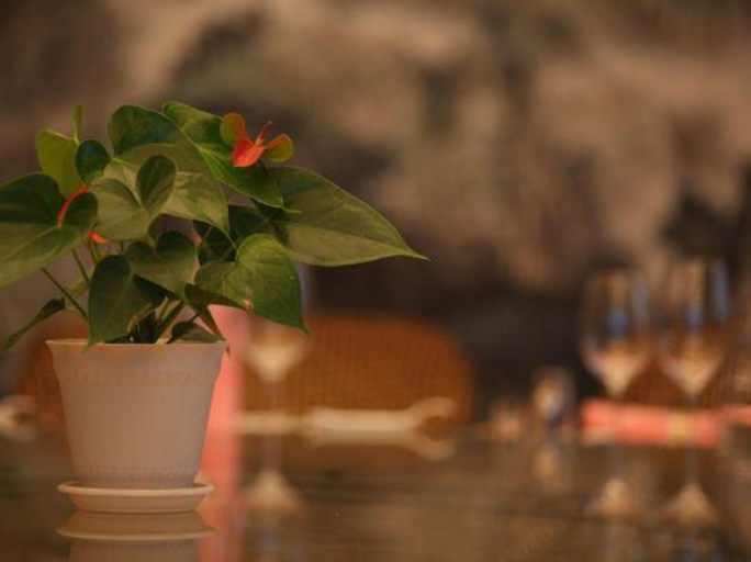 Food & Drinks, Cuiliu Hotel, Wuhan