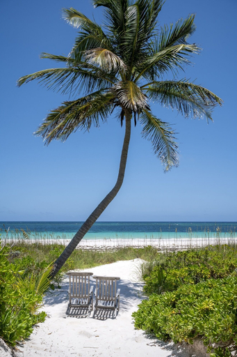 Beach 2, Coralli - Contemporary Beachfront Escape With Private Pool 3 Bedroom Home