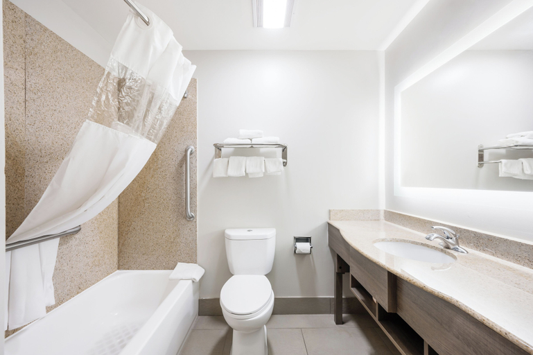 Bathroom 4, Red Roof Inn PLUS+ & Suites Birmingham - Bessemer, Jefferson