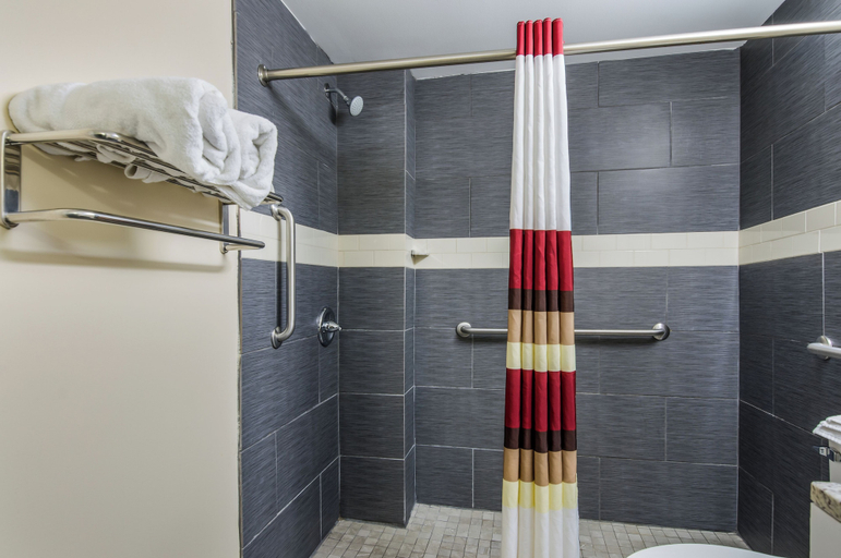 Bathroom 4, Red Roof Inn Madison Heights, VA, Amherst