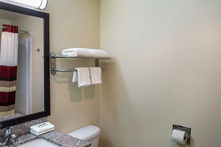 Bathroom 3, Red Roof Inn Richmond, IN, Wayne