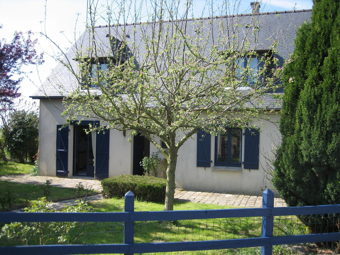 Primary image