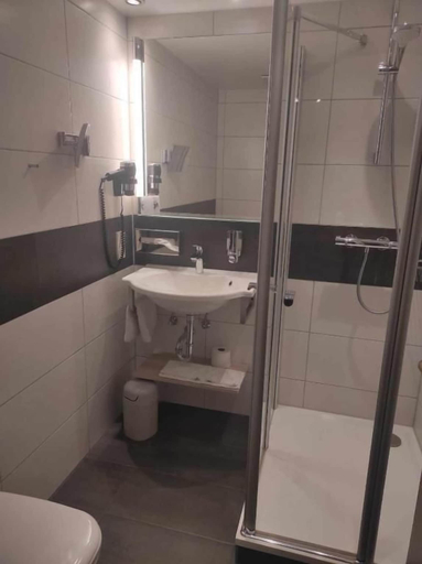 Bathroom 3, Hotel & Gasthof Grüner Baum, Hof