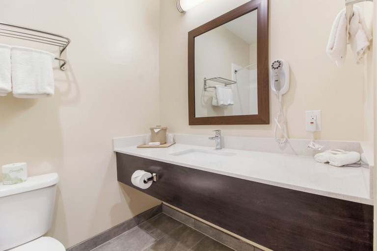 Bathroom 4, Red Roof Inn Houston - Willowbrook, Houston