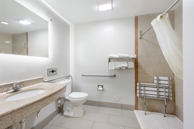 Bathroom, Red Roof Inn PLUS+ & Suites Birmingham - Bessemer, Jefferson