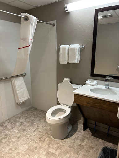 Bathroom 4, Red Roof Inn Norwich, Chenango