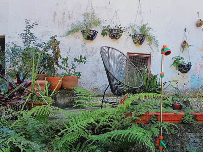 Property grounds 2, Quintal Oceano, Rio de Janeiro
