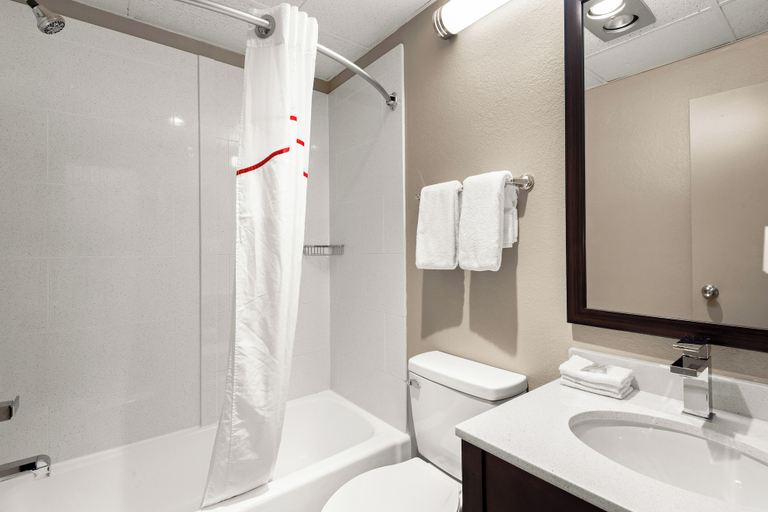 Bathroom 4, Red Roof Inn Norwich, Chenango