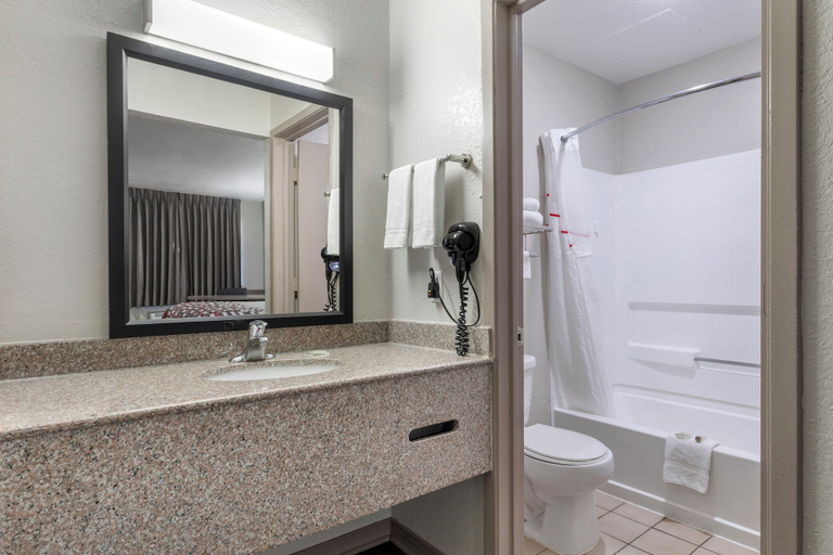 Bathroom 4, Red Roof Inn Canton, TX, Van Zandt