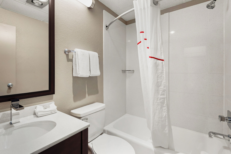 Bathroom 4, Red Roof Inn Norwich, Chenango