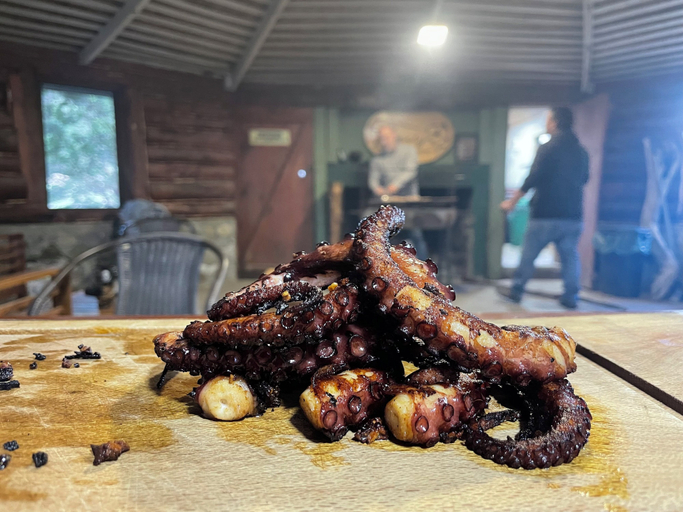 Food and drink 2, Esparza lodge, Palena