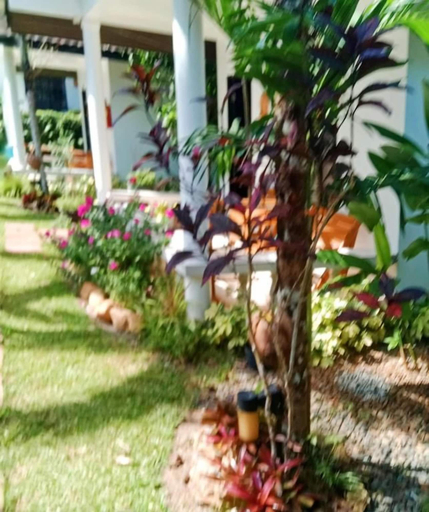 Others 4, Privacy Resort Koh Chang, Koh Chang