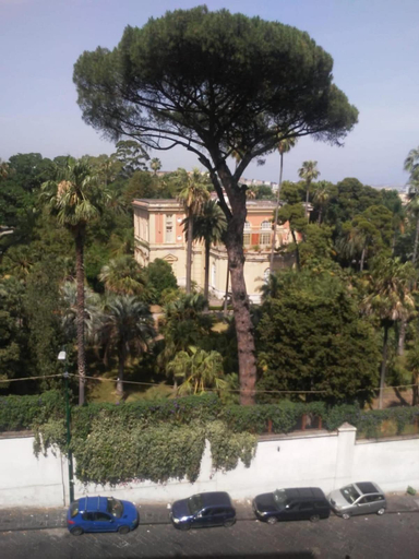 Exterior & Views 2, Casa Rosy, Napoli