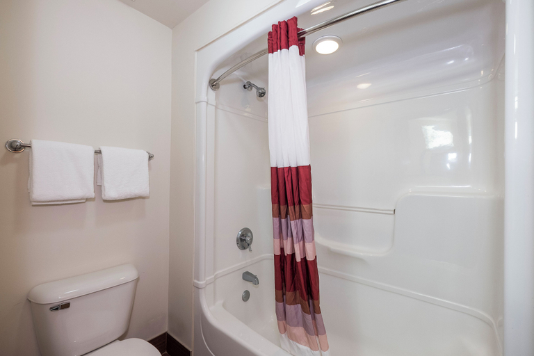 Bathroom 4, Red Roof Inn Jackson, OH, Jackson