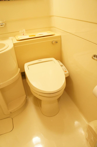 Bathroom 5, Hotel Aisul Matsuyama, Matsuyama