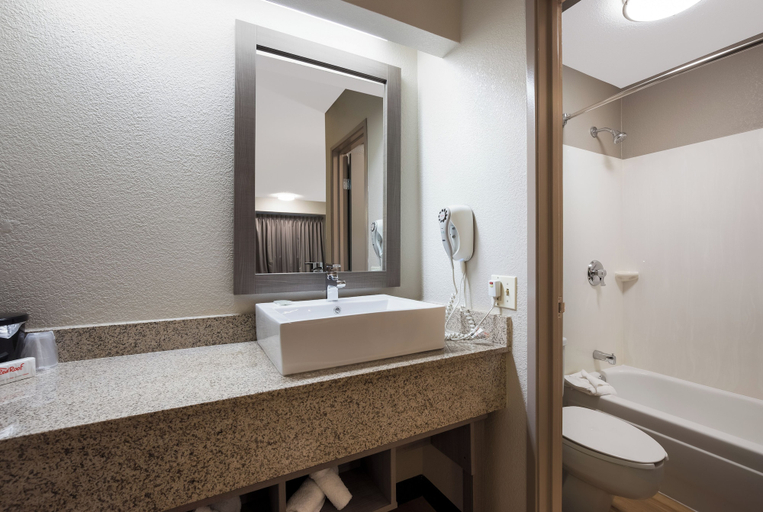 Bathroom 4, Red Roof Inn PLUS+ Chicago - Naperville, Dupage