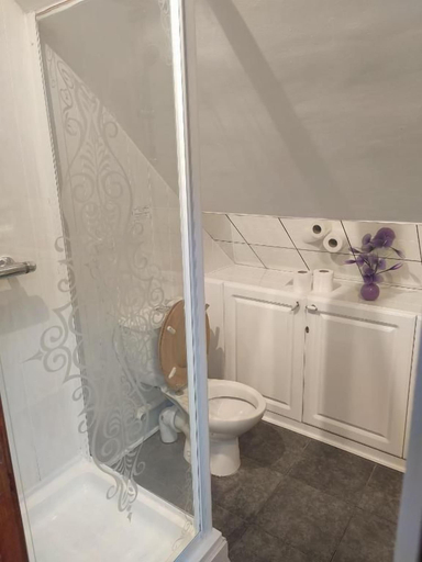 Bathroom 3, Pentre Riding Stable and Accommodation, Powys