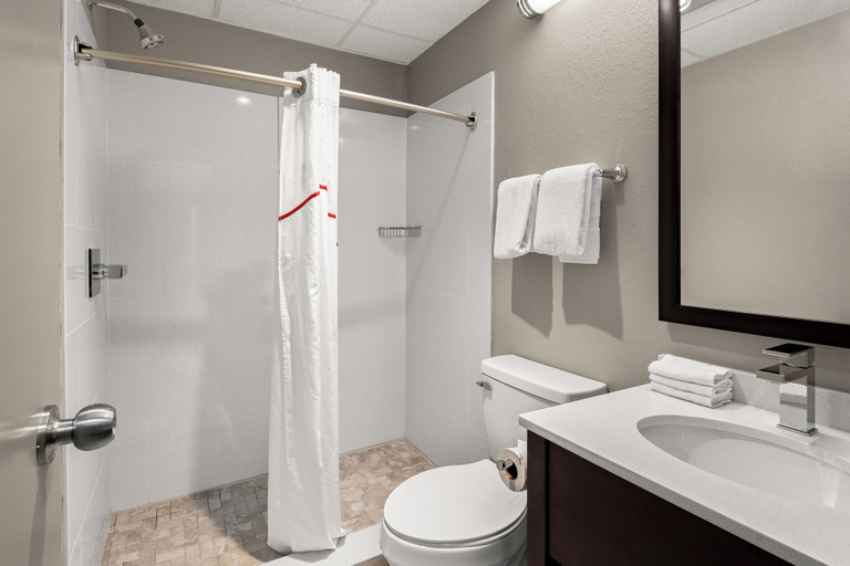 Bathroom 4, Red Roof Inn Norwich, Chenango