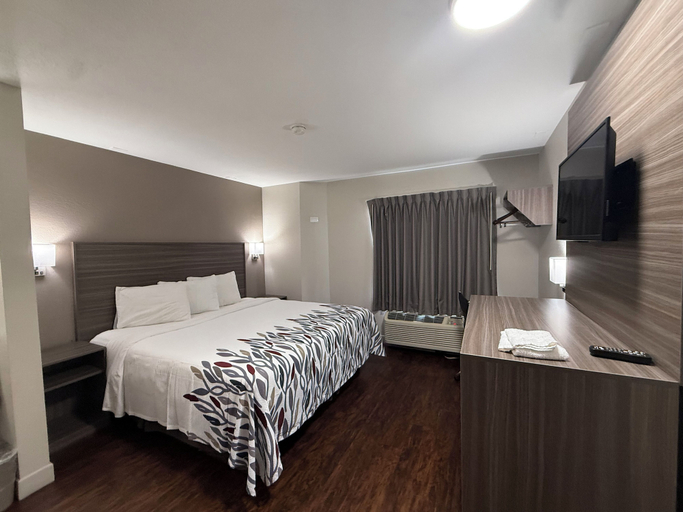 Bedroom 3, Red Roof Inn Austin - Round Rock, Williamson
