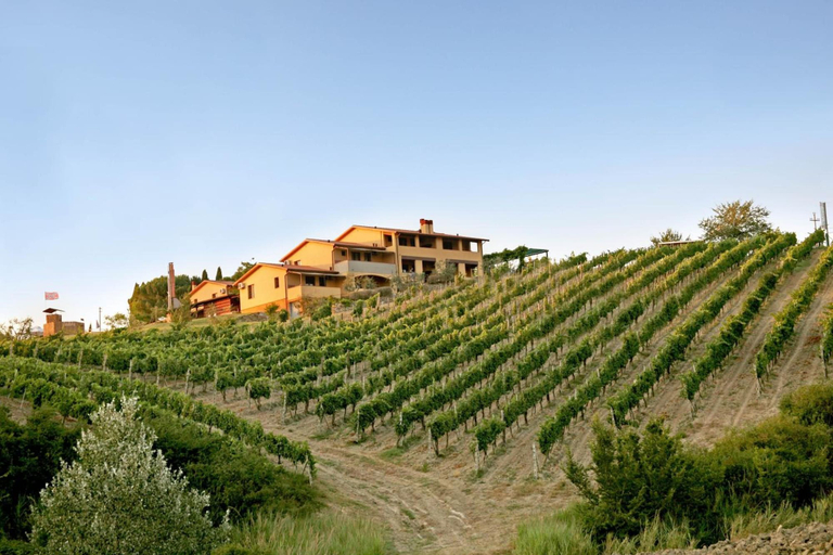 Exterior & Views 2, Borgo Filicardo, Florence