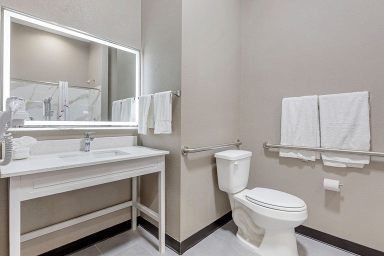 Bathroom 4, Red Roof Inn Hutchins, Dallas