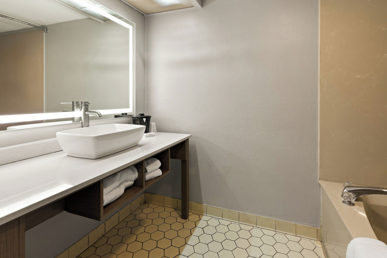 Bathroom 4, Red Roof Inn & Suites Monroe, NC, Union