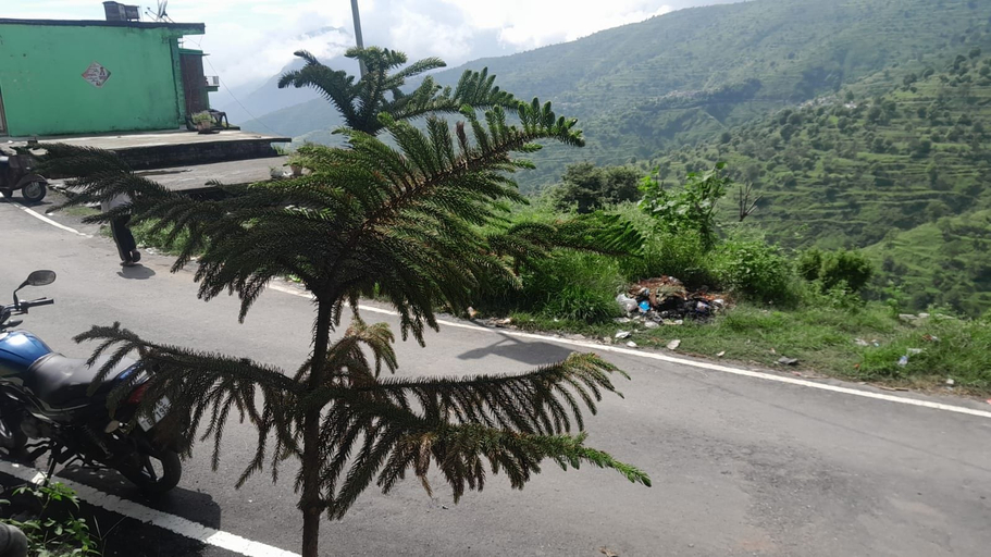 Property grounds, Andanam Village Stay,6Km Nagtibba Trek, Tehri Garhwal
