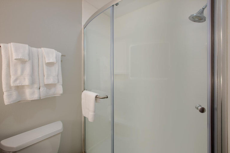 Bathroom 4, Holiday Inn Express Hotel & Suites Columbus, Platte