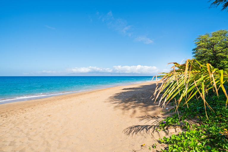 Beach 2, Summer Sale! Charming Studio Just Steps From the Beach - MKV 155, Maui