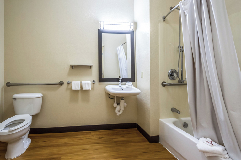 Bathroom 3, Red Roof Inn PLUS+ Raleigh Downtown – NCSU/Conv Center, Wake