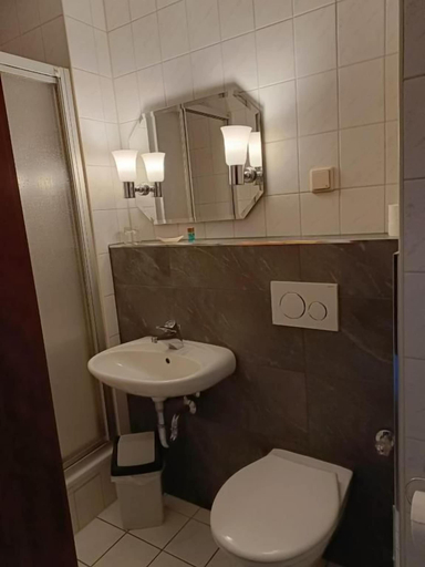 Bathroom 5, Hotel Zum Goldenen Löwen, Saalekreis