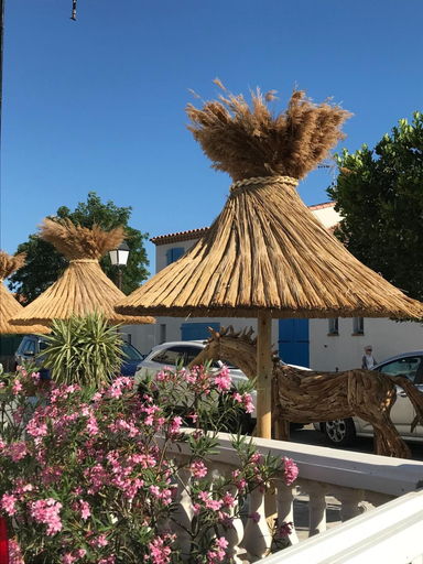 Others 5, Hôtel Le Neptune en Camargue, Bouches-du-Rhône