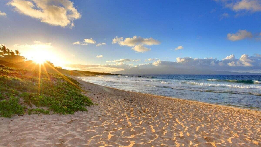 Others 4, Summer Sale! 2BD Oceanfront Getaway w AC Pool - Lauloa 105, Maui