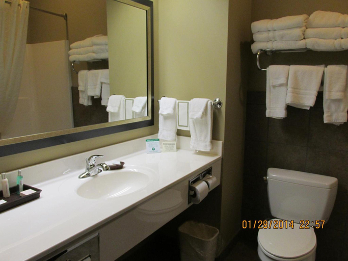 Bathroom 3, Parkwood Inn & Suites, Riley