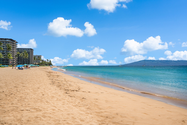Others 5, Updated Oceanfront 1BD w AC, Stunning Views - Maui Kai 108, Maui